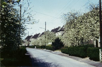 Historisches Bild vom Schaffnerweg mit Blick auf Vorgärten mit Hecken und blühenden Bäumen vor den Häusern.